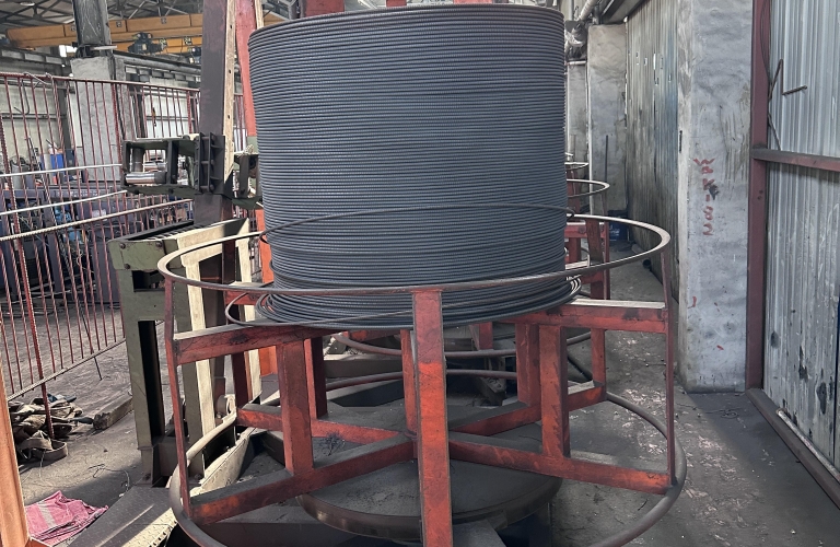 SCHNELL Coil 16